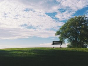 johnson funeral home waconia